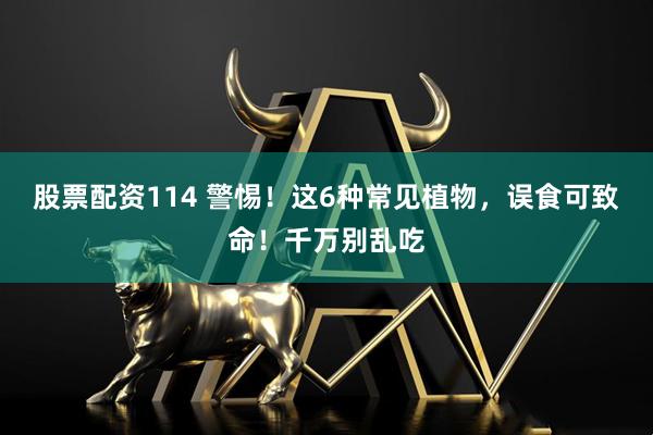 股票配资114 警惕！这6种常见植物，误食可致命！千万别乱吃
